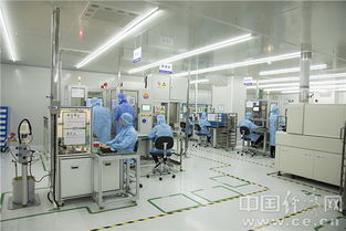 安培龍 潛心研發 打造 小巨人 銅頭鐵臂